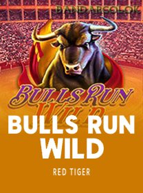 Bulls Run Wild
